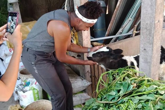 Ho Chi Minh City Full-Day Farm trip with Healthy Cooking Class - Guides and teaching style: small group attention really matters