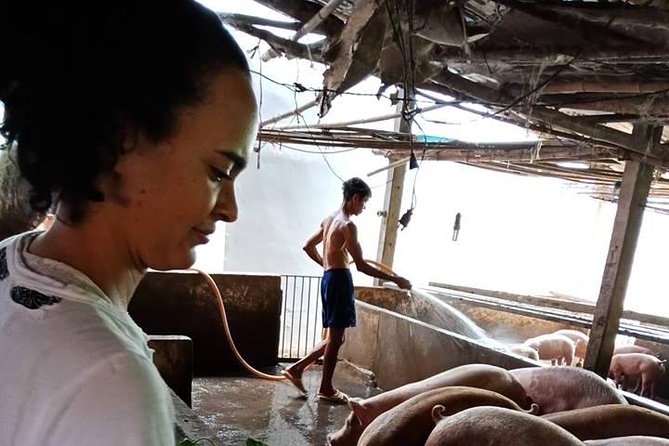Ho Chi Minh City Full-Day Farm trip with Healthy Cooking Class - Organic farm visit: animals, nutrition lessons, and real ingredient reality