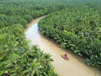 Ho Chi Minh City: Mekong Delta Day Trip with Lunch & Drinks - Motorbike Country Roads Around Ben Tre (Helmet On, Stress Off)