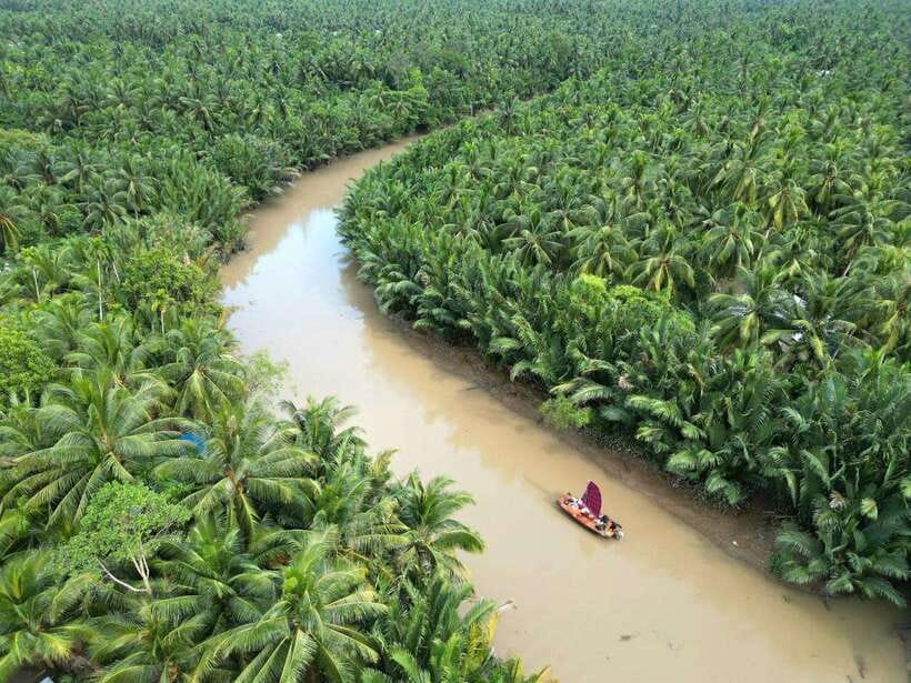 Ho Chi Minh City: Mekong Delta Day Trip with Lunch & Drinks - Motorbike Country Roads Around Ben Tre (Helmet On, Stress Off)