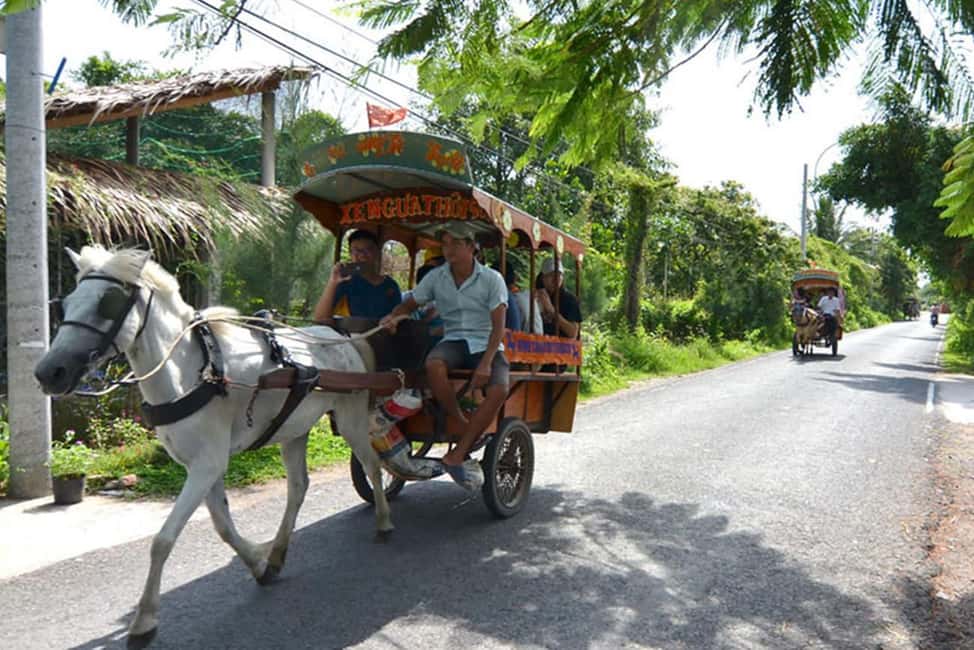 Ho Chi Minh Daily Tour: Full Day Mekong Delta (Private tour) - Cồn Thới Sơn: Honey Tastings and Đàn Ca Tài Tử Music