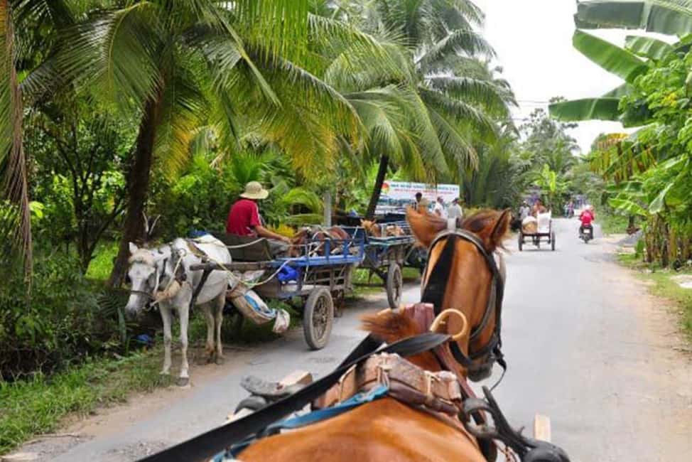 Ho Chi Minh Daily Tour: Full Day Mekong Delta (Private tour) - Value for Money: Why $48 Works for a Full Day