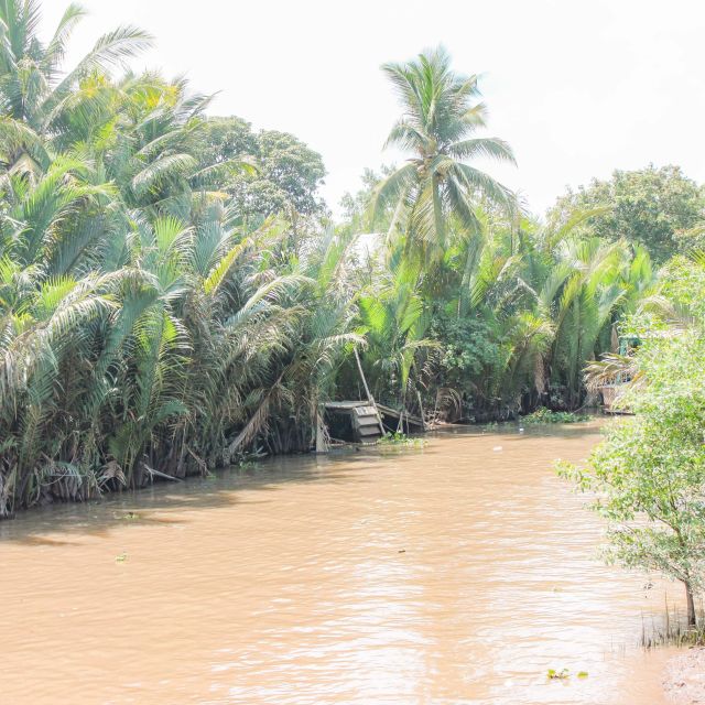 Ho Chi Minh: Mekong River Islands Private Excursion - An Khanh canal time: rowing a sampan under water coconut trees