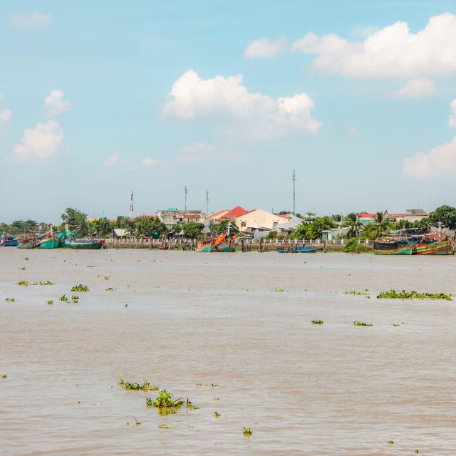 Ho Chi Minh: Mekong River Islands Private Excursion - Traditional folk music with fruit and honey tea: a small cultural bonus