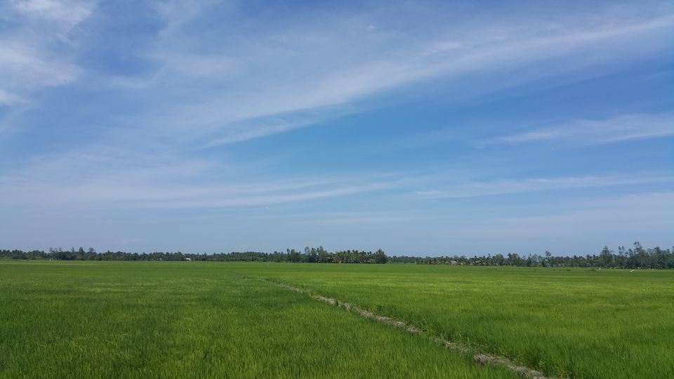 Ho Coc Beach, Nature Reserve & Dragon Fruit Farm Day Tour - Wet seafood market and Phuoc Buu Nature Reserve jungle walk