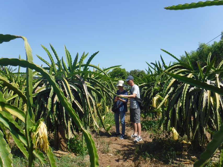 Ho Coc Beach, Nature Reserve & Dragon Fruit Farm Day Tour - Mrs. Thuan’s home-cooked Vietnamese lunch