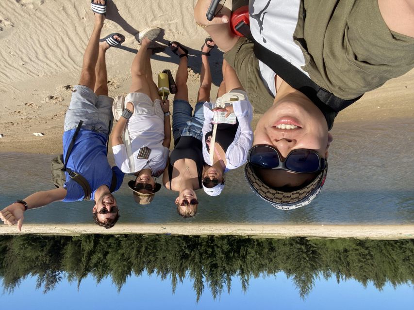 Ho Coc Beach, Nature Reserve & Dragon Fruit Farm Day Tour - Price and what $114 buys you in real terms