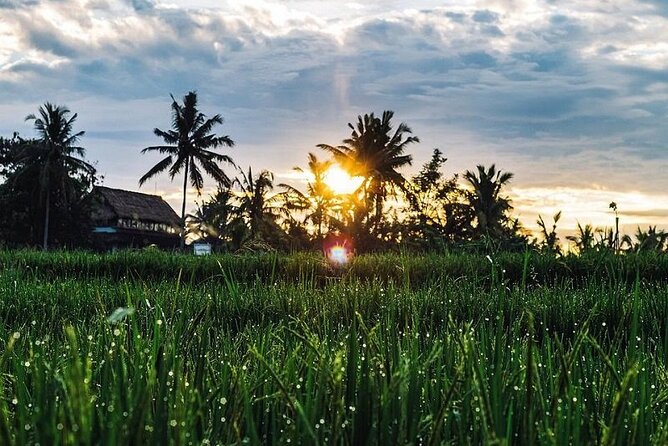 LUXURY Mekong 2 Days 1 Night SMALL GROUP Stay at Tiny Homestay with BBQ Dinner - Price and logistics: what you get for $99 (and what you pay extra)