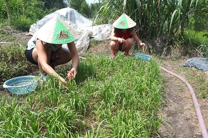 Market to Farm to Table Cooking Class in saigon - Picking your own produce: the best kind of souvenir