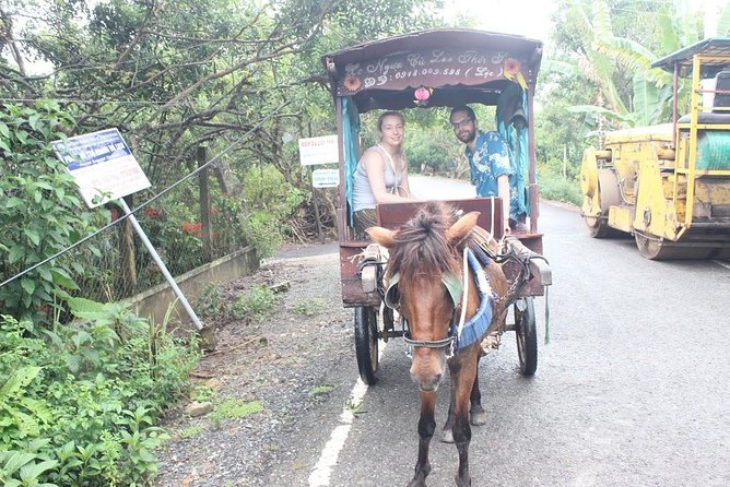 Mekong Delta Adventure by Private Car from Phu My Port - Price and value: is $230 a fair deal?
