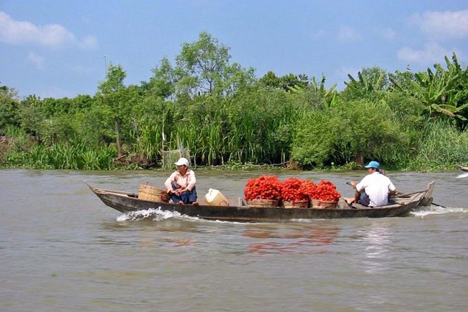 Mekong Delta Floating Market Luxury Group Tour - Traditional Music, Small Moments, and the Guide Factor