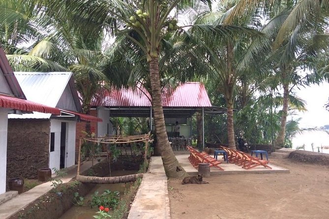Mekong Delta Tour with Kayaking, Cycling and Cooking - Vinh Tràng Pagoda in Mỹ Tho: big ancient temple energy