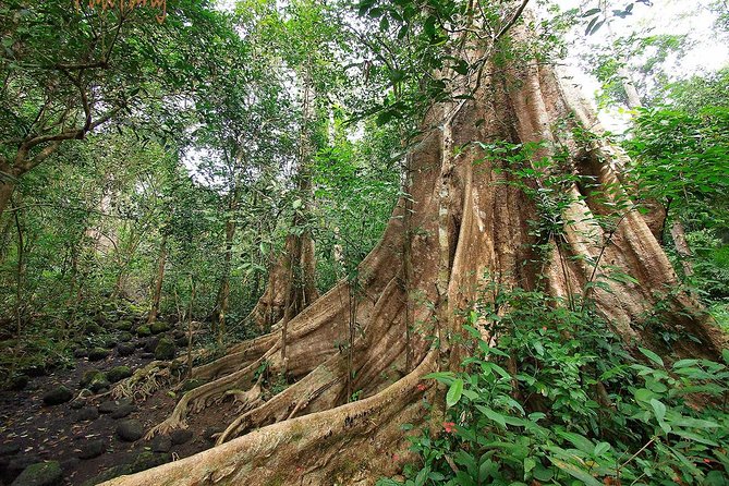 Nam Cat Tien National Park 2-Day Tour with Lodging, Meals.. - Key Highlights to Know Before You Go