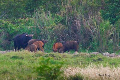 Nam Cat Tien National Park 2-Day Tour with Lodging, Meals.. - Day 1: Lava Tubes, Crater Walking, and the Dong Nai River Crossing