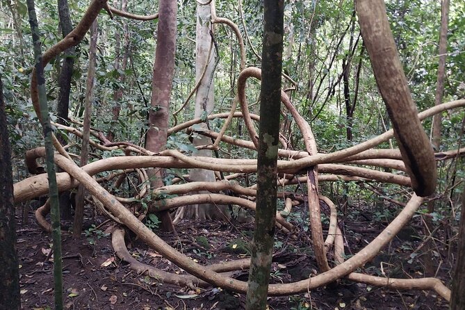 Nam Cat Tien National Park 2-Day Tour with Lodging, Meals.. - Your Guide Makes the Difference: From Harry to Chinh to Dien
