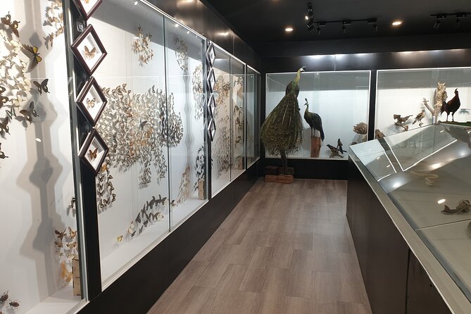 Nam Cat Tien National Park 2 Days 1 Night - Private Tour - Day 1 in Nam Cat Tien: volcanic lava tubes and real jungle walking