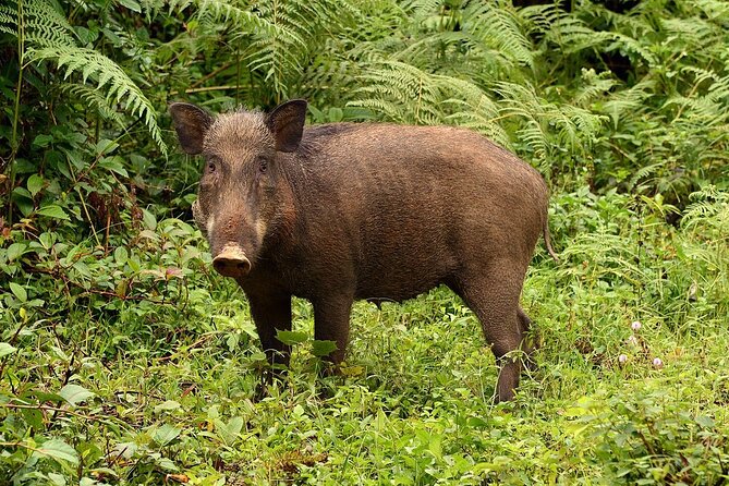 Nam Cat Tien National Park 2 Days 1 Night - Private Tour - Meals, hotel sleep, and the small logistics that actually matter