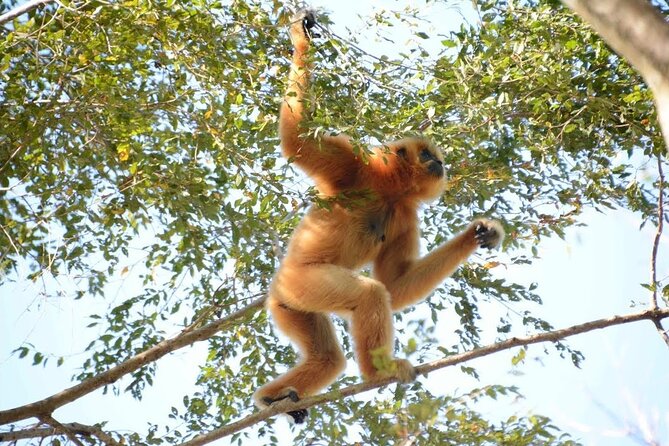 Nam Cat Tien National Park 2 Days 1 Night - Private Tour - Price and value: what $315 covers (and why it can be fair)