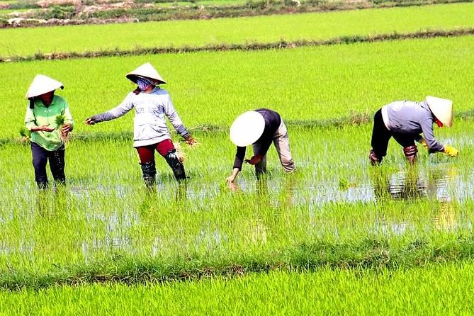 Private - An Authentic Mekong Local Version - Day Tour - A Private Mekong Day That Feels Local, Not Manufactured