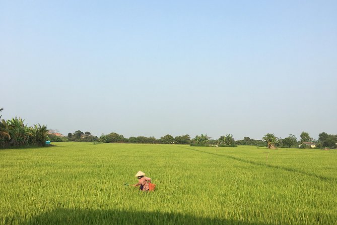 Private - An Authentic Mekong Local Version - Day Tour - Scooter Time in the Villages: Rice Fields and Dragon Fruit