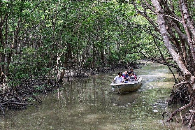 Private Can Gio Mangrove Eco Tour – Boat & Wildlife - Can Gio Mangrove Biosphere: Why This Tour Works As a Full-Day Break
