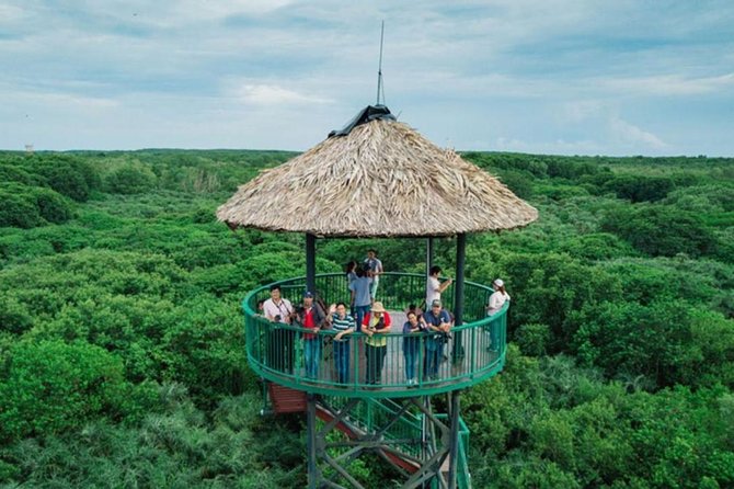 Private Can Gio Mangrove Eco Tour – Boat & Wildlife - Vam Sat Canopy Tower: The View You’ll Actually Remember
