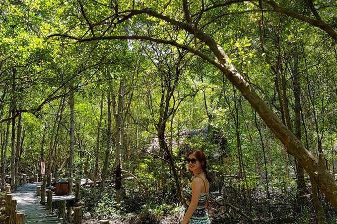 Private Can Gio Mangrove Eco Tour – Boat & Wildlife - Riverside Lunch and Local Fruit Tasting: Included Comfort Done Right