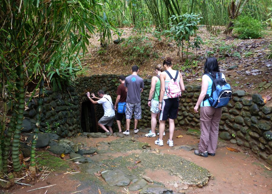 Private Cu Chi & Mekong Delta Tour: History Meets Nature - The guerrilla food and the tea-and-cassava moment