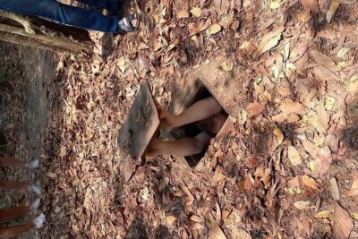 Private Cu Chi Tunnels Tour Half Day - Morning pickup in District 1: comfortable starts, clear timing