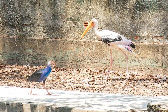 Private Full Day Mekong Delta Tour to Dong Thap Muoi Wetlands - Why Đồng Tháp Mười feels different from the usual Mekong
