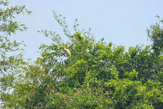 Private Full Day Mekong Delta Tour to Dong Thap Muoi Wetlands - Lunch in the countryside: a real break from city food