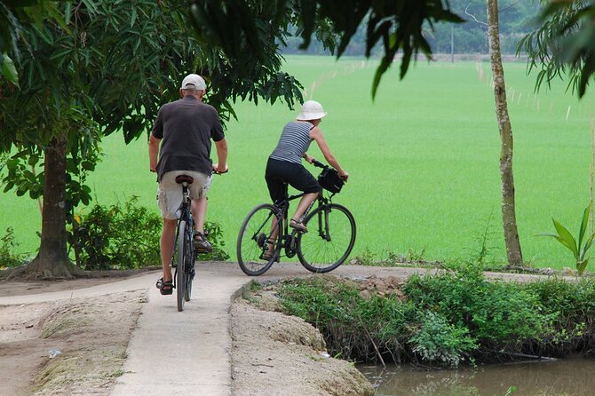 PRIVATE Luxury Sunset Mekong AFTERNOON TRIP with BBQ DINNER & COOK CLASS - Ben Luc Village by Bike: Farms, Fruit, and Watching the Day Turn