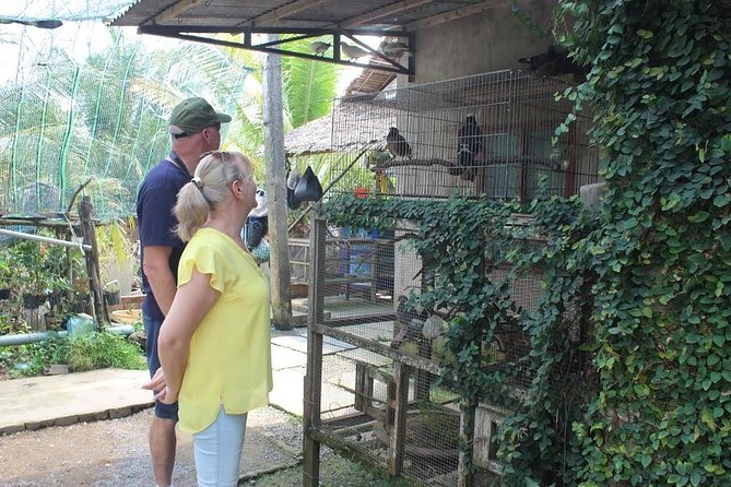 Private Mekong Delta 1 day - Unicorn Islet lunch and the python farm: the family-friendly contrast