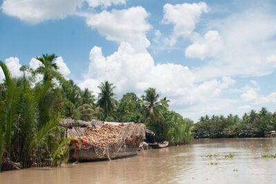 Private Mekong Delta & My Tho Full-Day Guided Tour - Floating fish farms and coconut candy: food stories told from the water