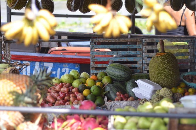 Private Mekong Delta tour to Cai Be – Tan Phong island full day - Key moments that make this tour worth it
