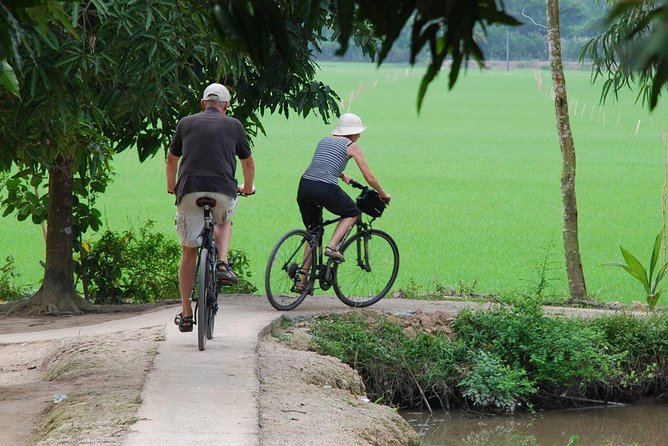 Private Tour Mekong Delta Day Trip from Ho Chi Minh City - The family lunch and elephant ear fish try: what to expect realistically