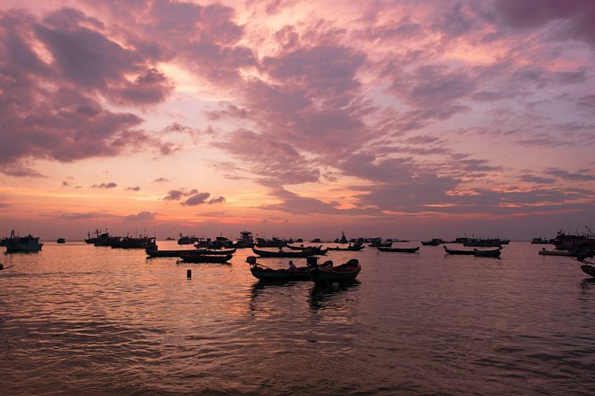 Private Tour Mekong Delta Day Trip from Ho Chi Minh City - Price and value: what $96.42 really covers on this private day