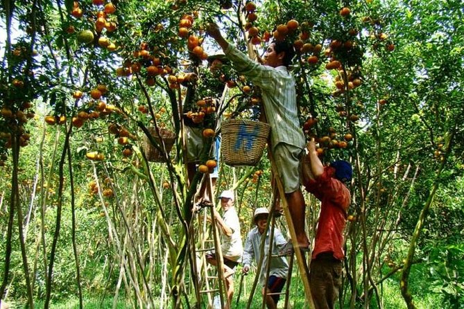 Private tour to Mekong Delta 1 day - Private Pickup in Ho Chi Minh City: Why 7:00 am Works