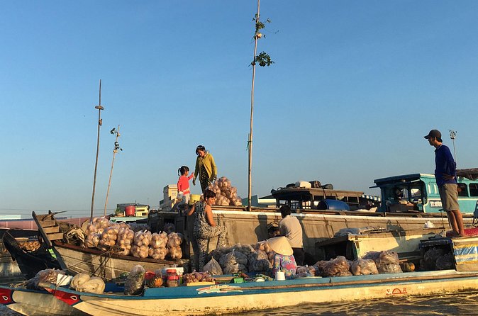 Private tour to Mekong Delta 1 day - Lunch at a Local Restaurant: Included Fuel, Not a Food Show