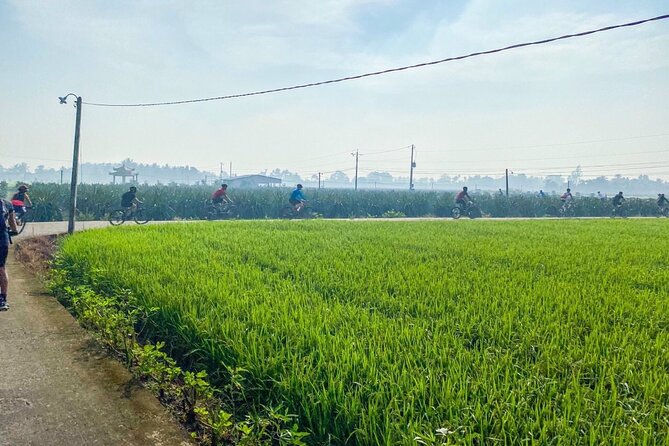 Saigon Countryside Cycling Adventure - Who This Tour Suits Best (and Who Might Want to Skip)
