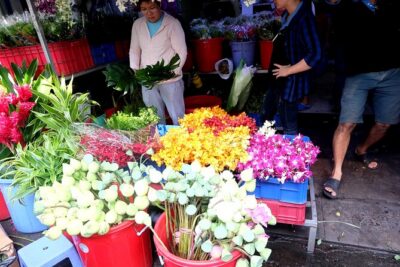 Saigon Morning Excursion by Scooter - The Flower Market Route: District 10 and the Coffee Pause
