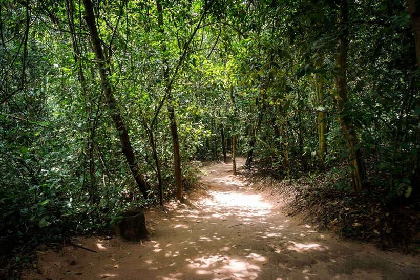 Small Group Full-Day Cu Chi Tunnels and Mekong Trip - Logistics That Matter: Pickup Times, What to Bring, and What to Skip