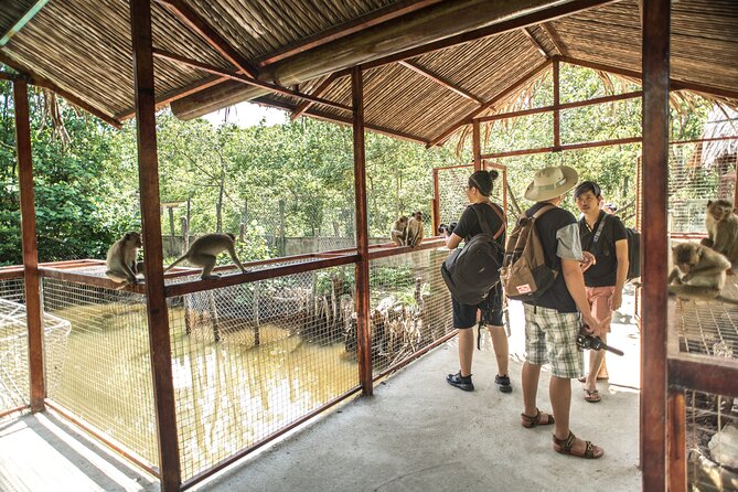 Small-Group Tour to Can Gio Vam Sat Mangrove Forest - Large fruit bats: what the bat area is really good for