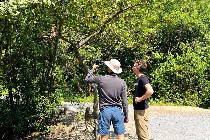 VIP Tour in Vam Sat: Can Gio Mangrove Forest by SpeedBoat - The Wildlife Hunt: What You’re Looking For (and What Affects Sightings)
