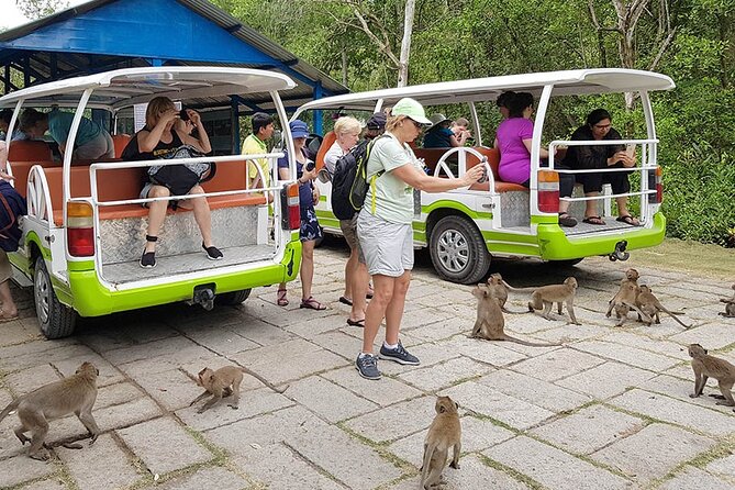 VIP Tour in Vam Sat: Can Gio Mangrove Forest by SpeedBoat - Entering Can Gio Biosphere Reserve: Mangroves, Wetlands, and Big Space
